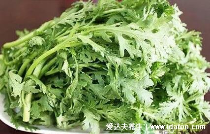 芦蒿和茼蒿的区别图片,芦蒿一般不吃叶子/茼蒿吃嫩叶(4大不同)