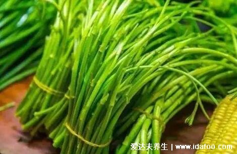 芦蒿和茼蒿的区别图片,芦蒿一般不吃叶子/茼蒿吃嫩叶(4大不同)