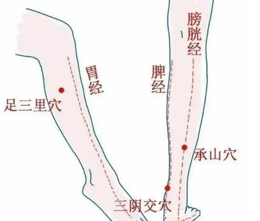 腿部经络图6条的走向及穴位图，四肢经络口诀更好记忆