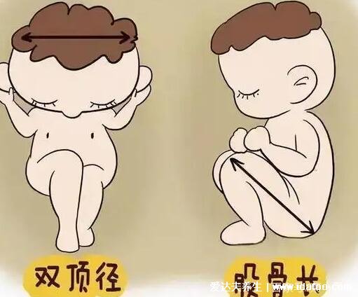 双顶径和股骨长看男女,二者相减大于2是男孩(附孕周对照表)